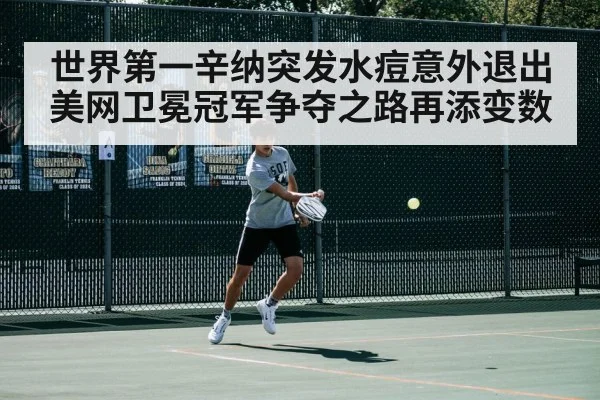 世界第一辛纳突发水痘意外退出美网卫冕冠军争夺之路再添变数