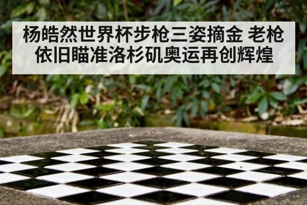 杨皓然世界杯步枪三姿摘金 老枪依旧瞄准洛杉矶奥运再创辉煌